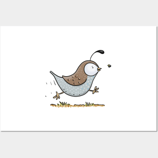 Cute running californian quail cartoon illustration Posters and Art